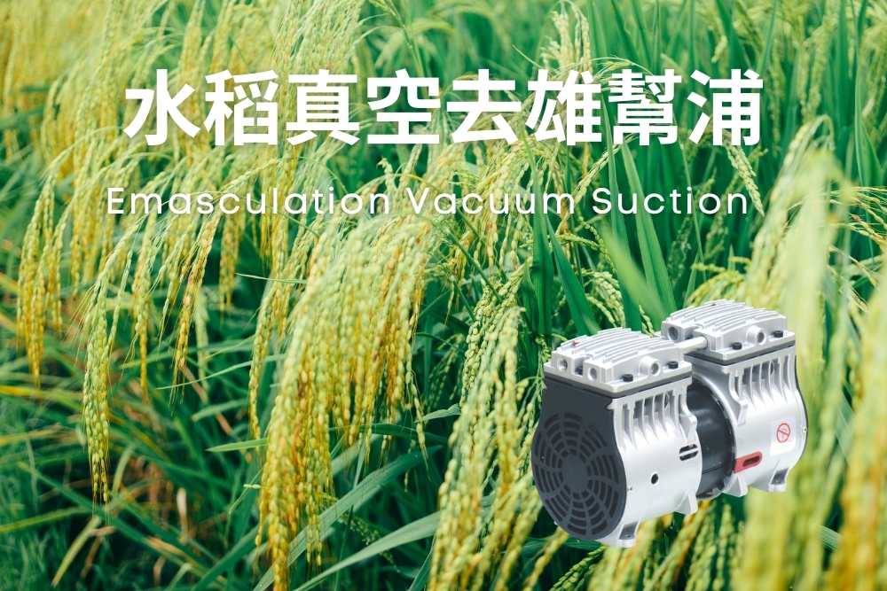Emasculation Vacuum Suction水稻真空去雄幫浦